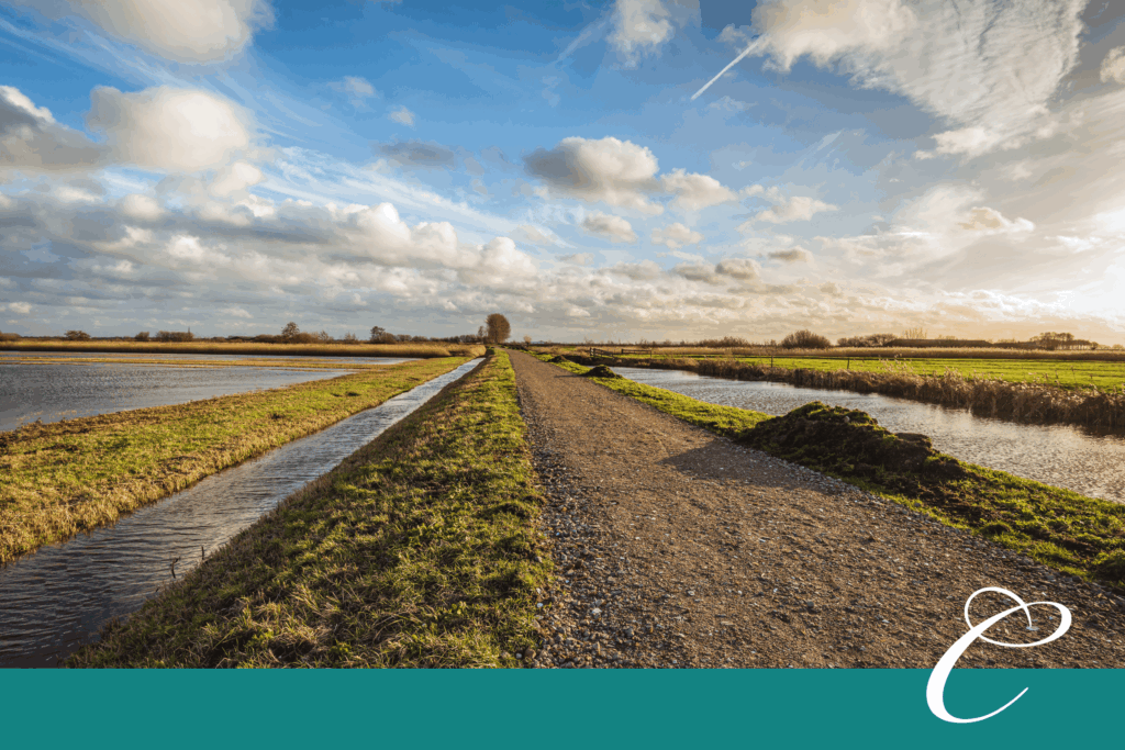 Explore retirement income tax planning strategies designed to help you balance income needs and minimize unexpected tax surprises.